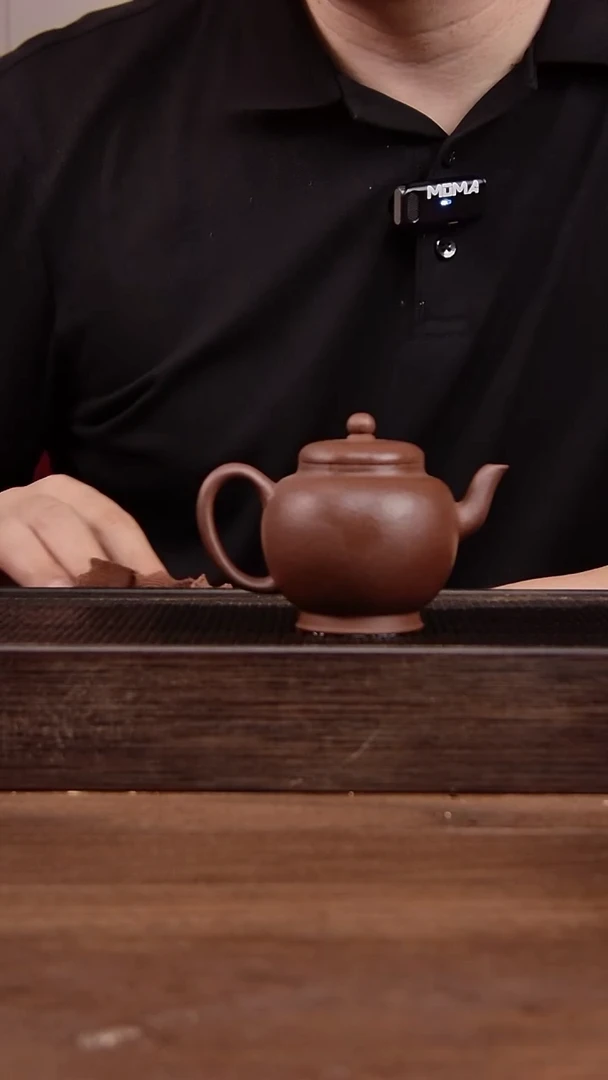 茶壶紫砂紫泥  南州高士   150CC