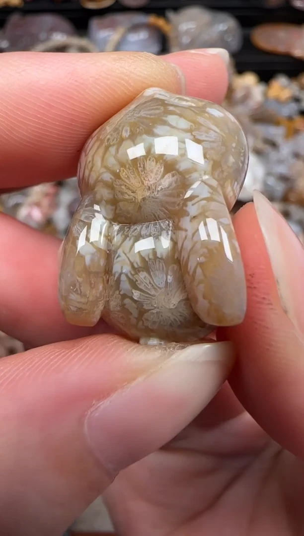 硅化珊瑚（珊瑚玉）未镶嵌颈饰727