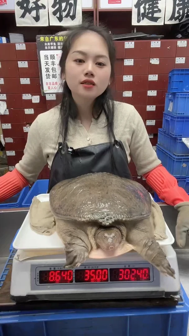 中国大陆护*5个8.5斤