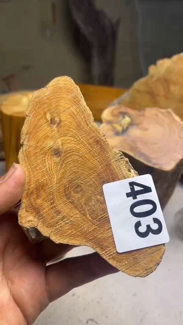 柏木（崖柏）太行崖柏香片对眼