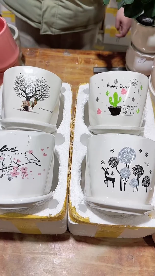 【闪购商品】陶瓷+14-10