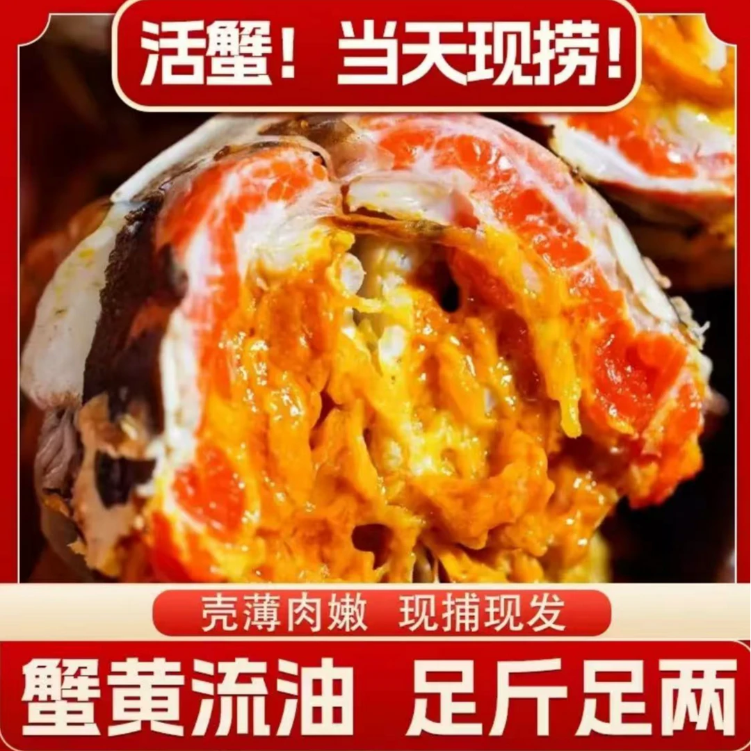 【活蟹现发】苏州精品大闸蟹精选全公3.0两 10只精美礼盒装 顺丰/京东 冷链鲜活到家