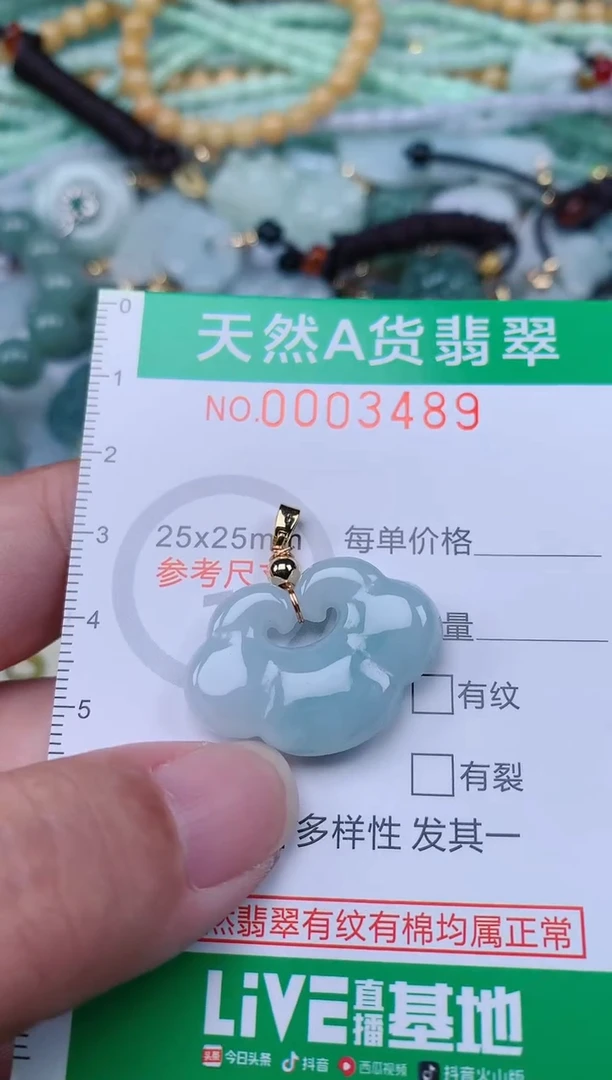 翡翠未镶嵌颈饰.0003489