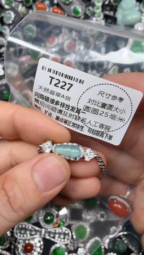 颈饰未镶嵌翡翠T227手链