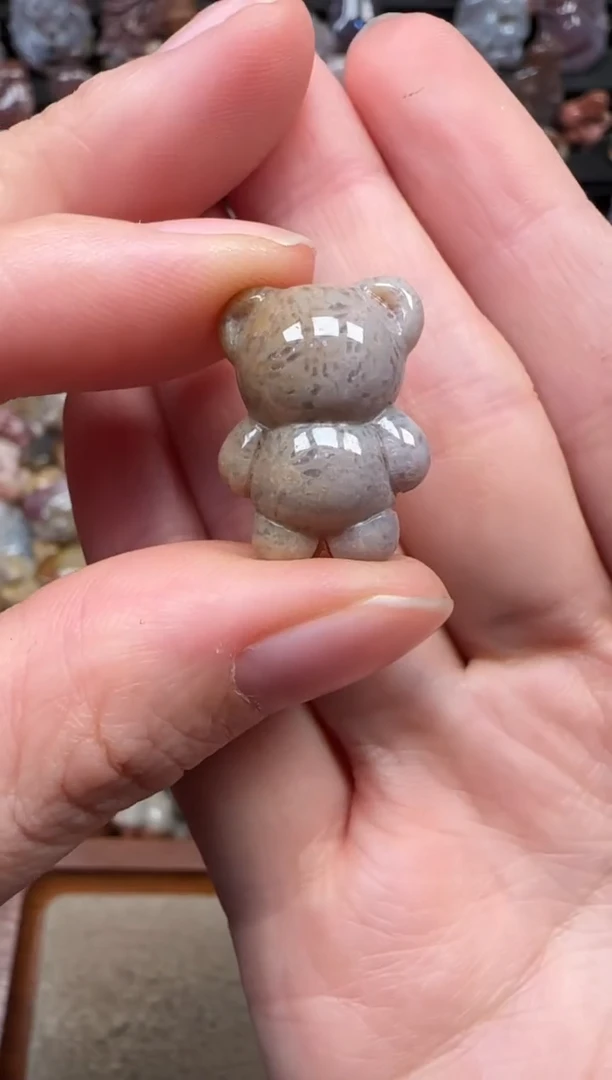 颈饰未镶嵌硅化珊瑚（珊瑚玉）282