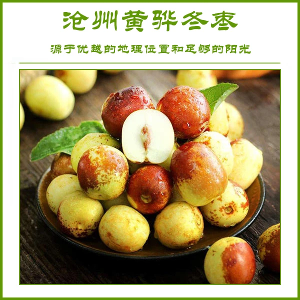 黄骅沧州冬枣新鲜水果冰糖脆枣子3斤5斤特大当季水果整箱大冬枣