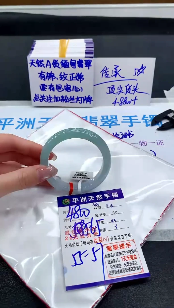 未镶嵌手镯翡翠11111