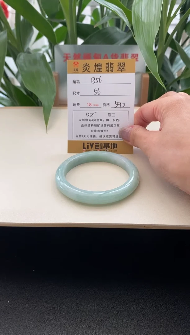 未镶嵌手镯翡翠圈口56编码B56