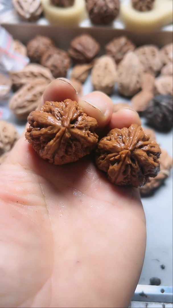 核桃东北野生大秋子9