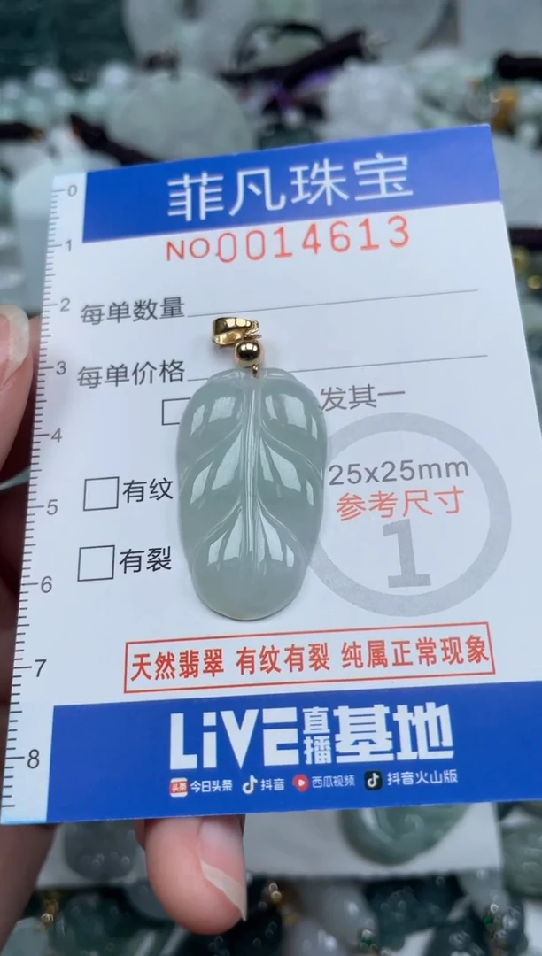 颈饰未镶嵌翡翠14613