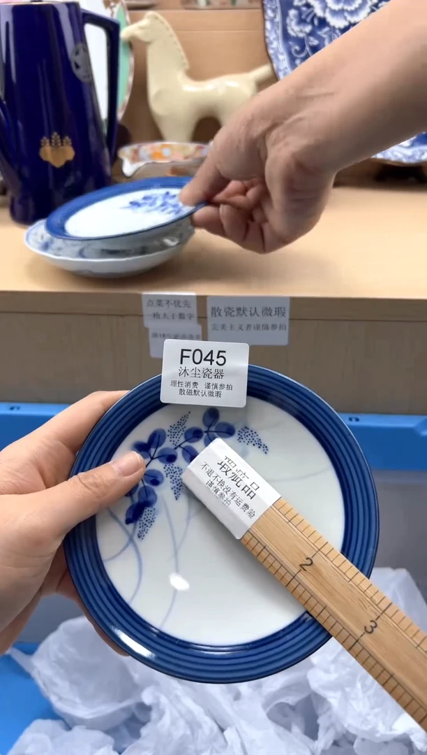 瓷片         F045