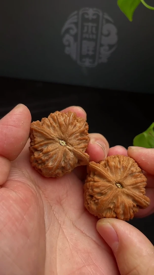【闪购商品】文玩核桃把件44尺红狮子，团（全品）