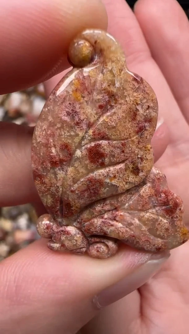 硅化珊瑚（珊瑚玉）未镶嵌颈饰146