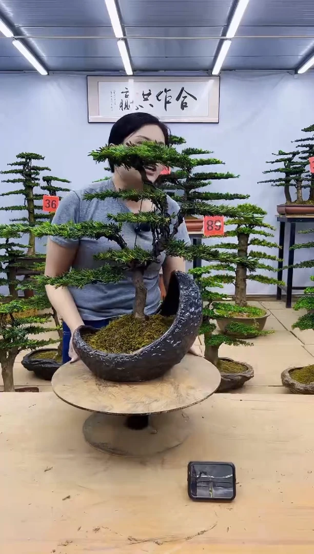 无花朵一物一拍，所见即所得