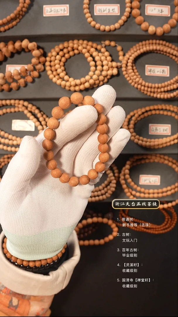 【闪购商品】五线菩提吊坠手串