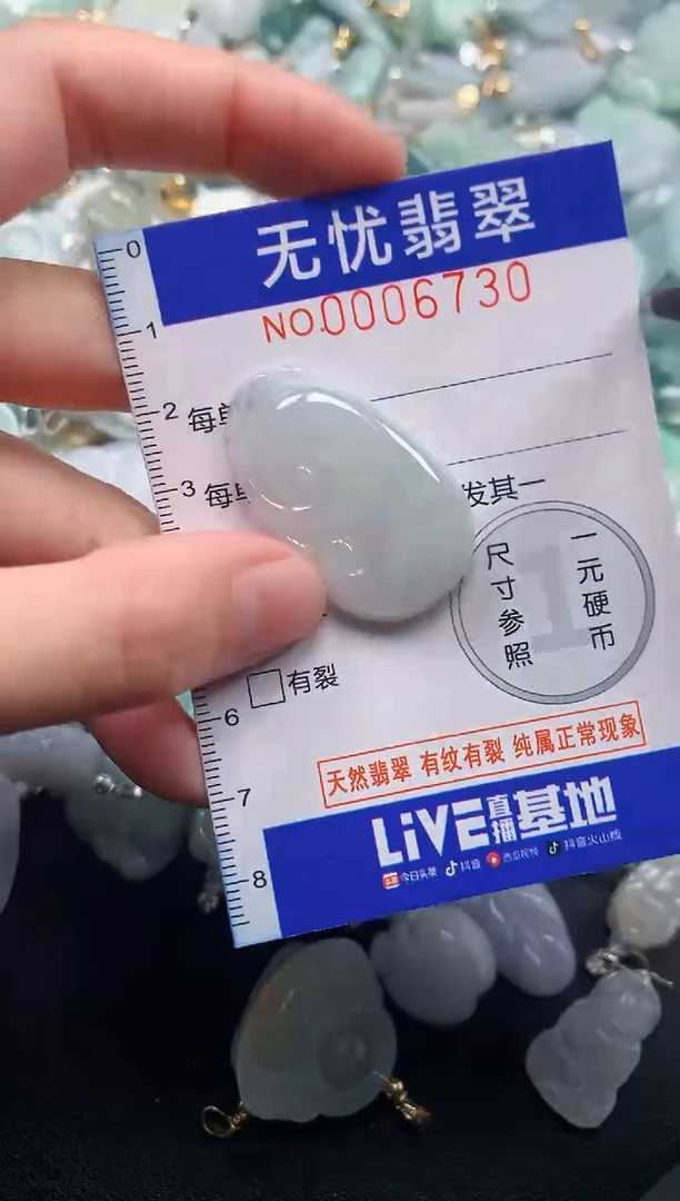 颈饰未镶嵌翡翠6730
