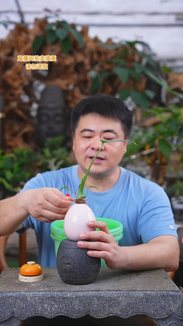 当前无花栽培后可以开花龟背96+