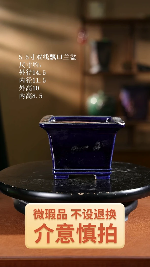5.5寸双线飘口兰盆 随机发货