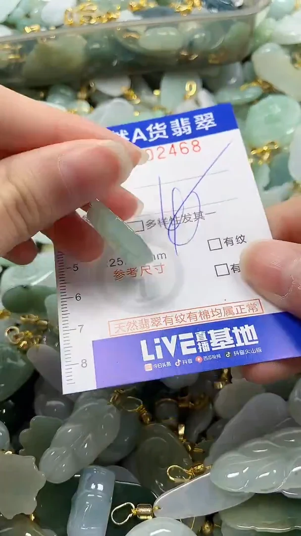 颈饰未镶嵌翡翠纯天然a货翡翠