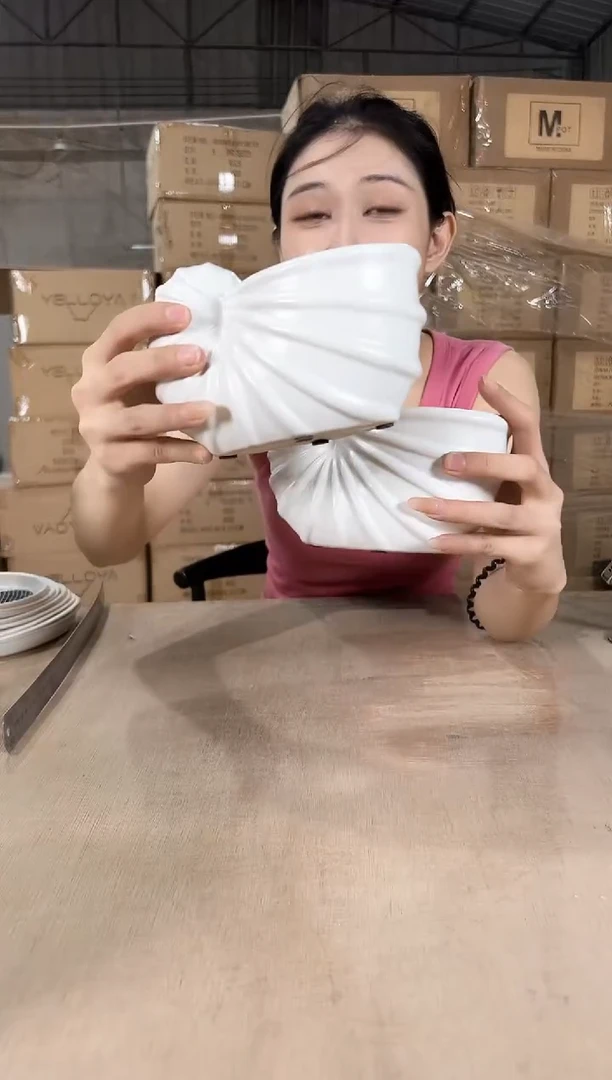 2海螺白色小号10x16x9