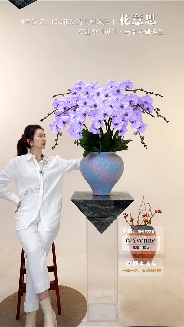 全部花朵010一物一拍蝴蝶兰盆景