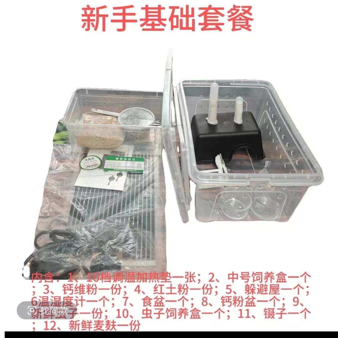 爬宠饲养套餐含守宫豹纹宠物喂养用品及饲养盒爬宠饲养箱