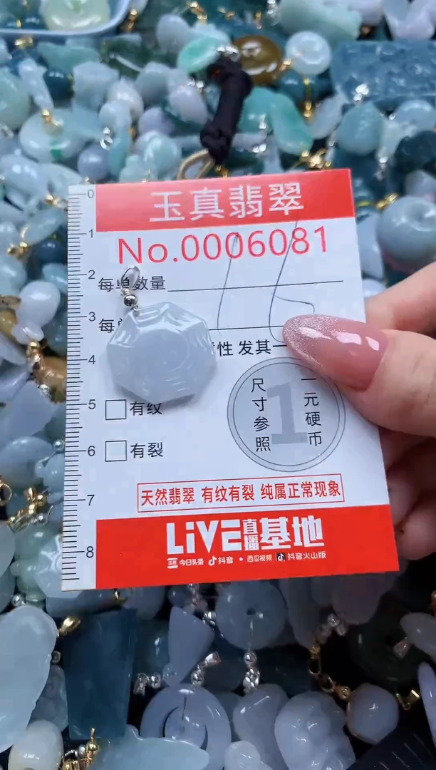 翡翠未镶嵌吊坠(不含链)6081