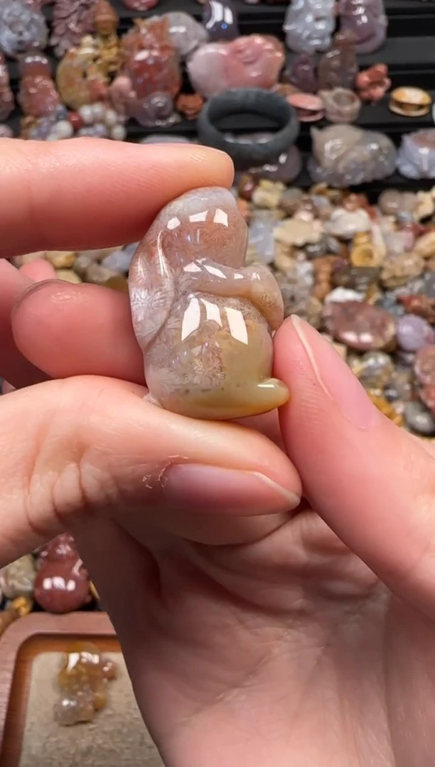 颈饰未镶嵌硅化珊瑚（珊瑚玉）343