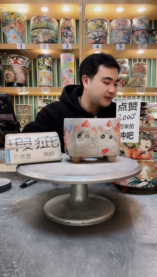 陶默认微瑕一物一拍1223-253