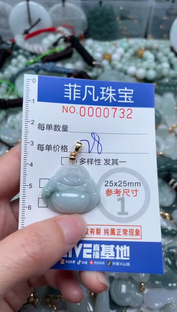【闪购商品】翡翠颈饰未镶嵌00..0732