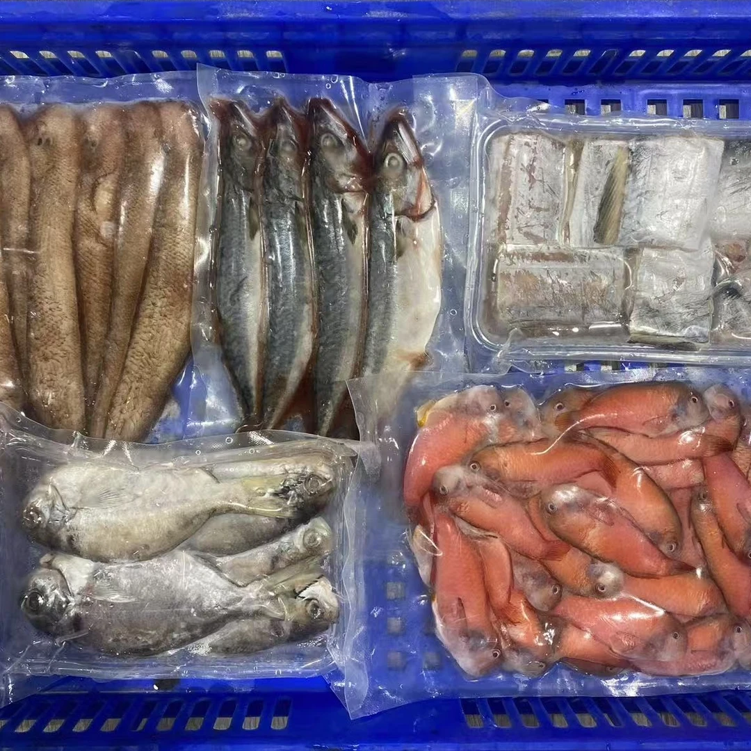 浅海鱼类组合套餐112