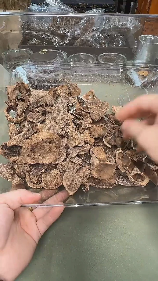 柬埔寨马蹄香5g装