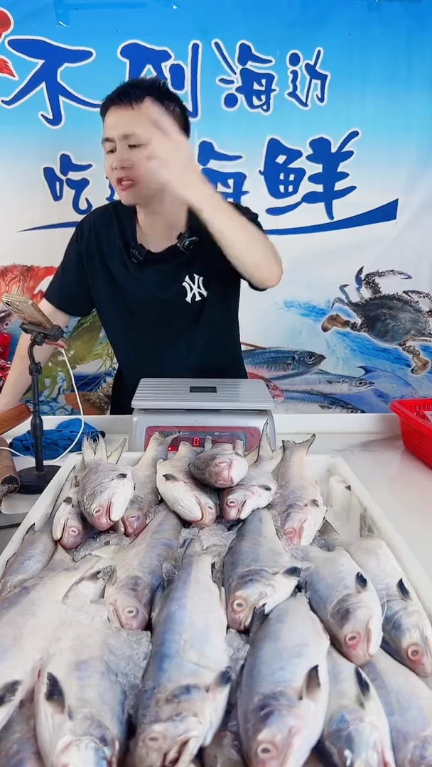 中国大陆闽****地马鲛鱼 三牙鱼  肉鲳鱼各三斤 共九斤