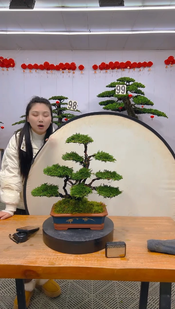 【闪购商品】盆景1