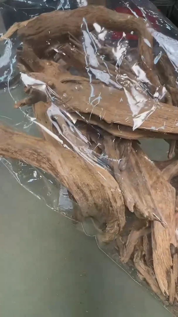 &****&50g海南土熟龙鳞根原料