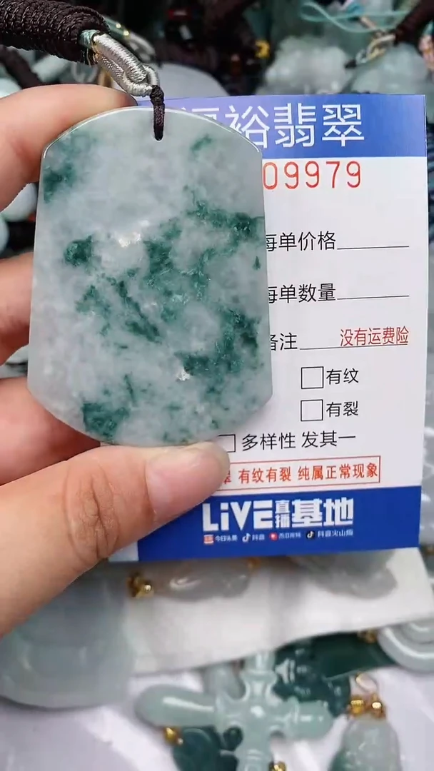 翡翠未镶嵌颈饰...0009979