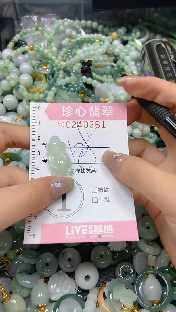 翡翠未镶嵌颈饰闪购0240261