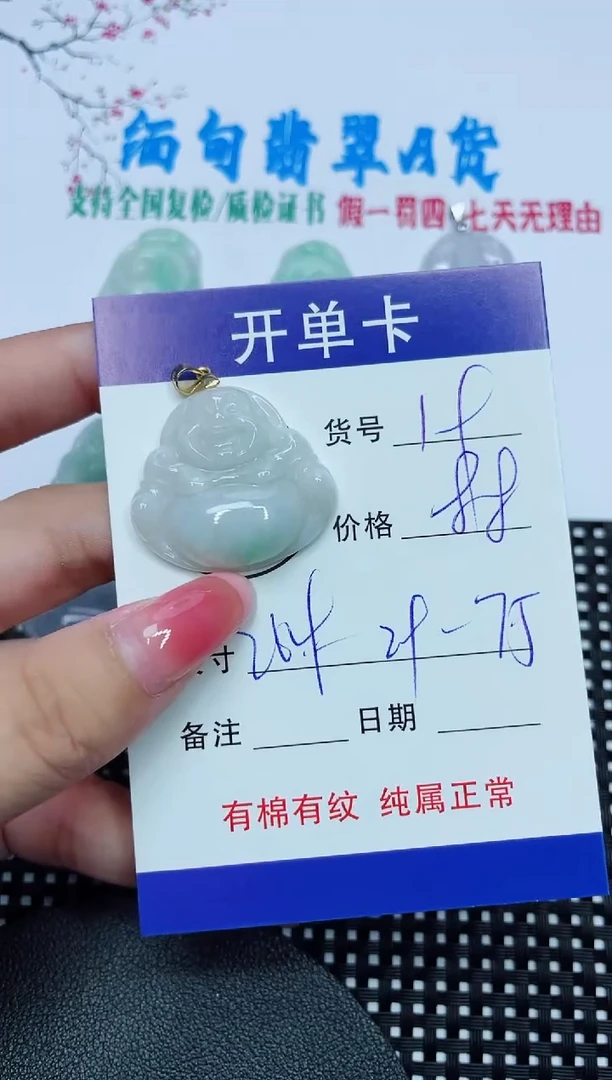 翡翠未镶嵌吊坠(赠链)19