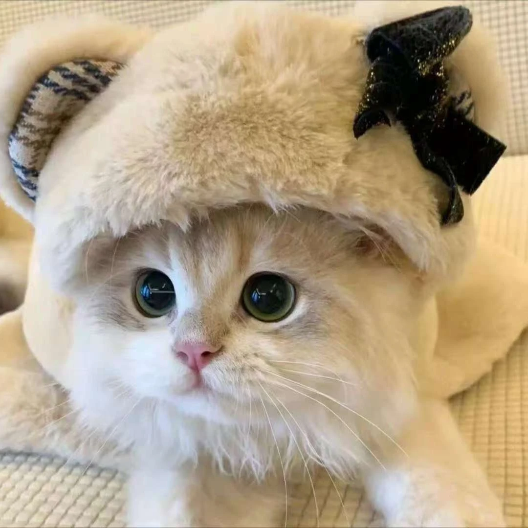 熹熹喵喵屋《活体专用链接》