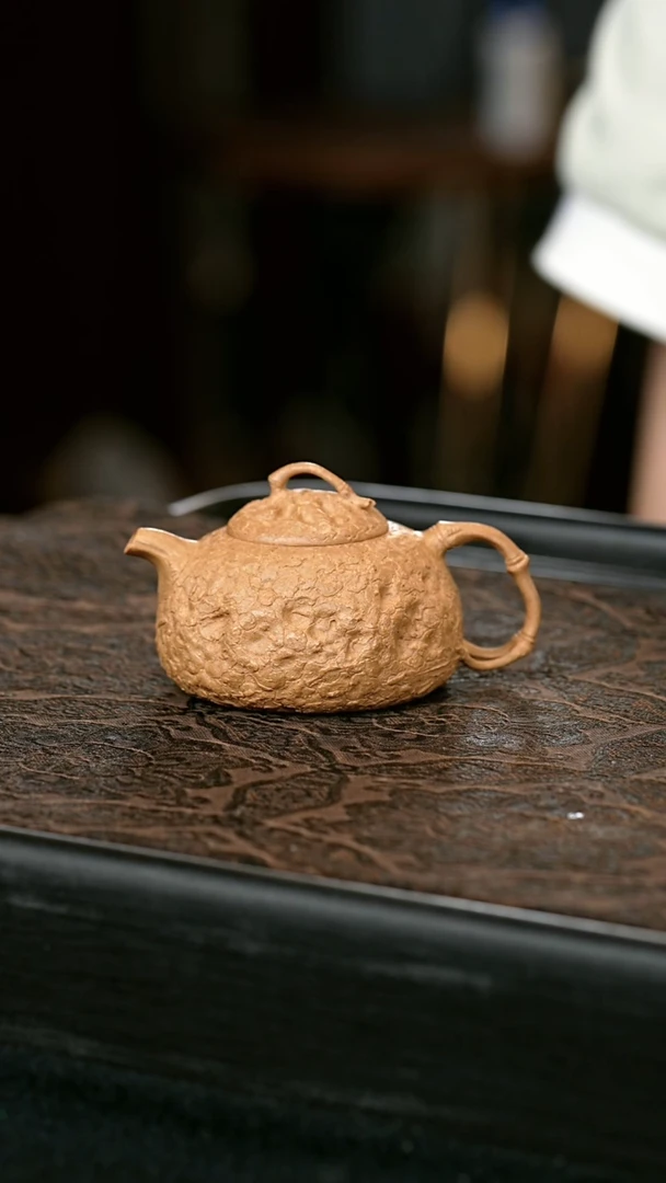 茶壶紫砂供春壶80cc  一物见春