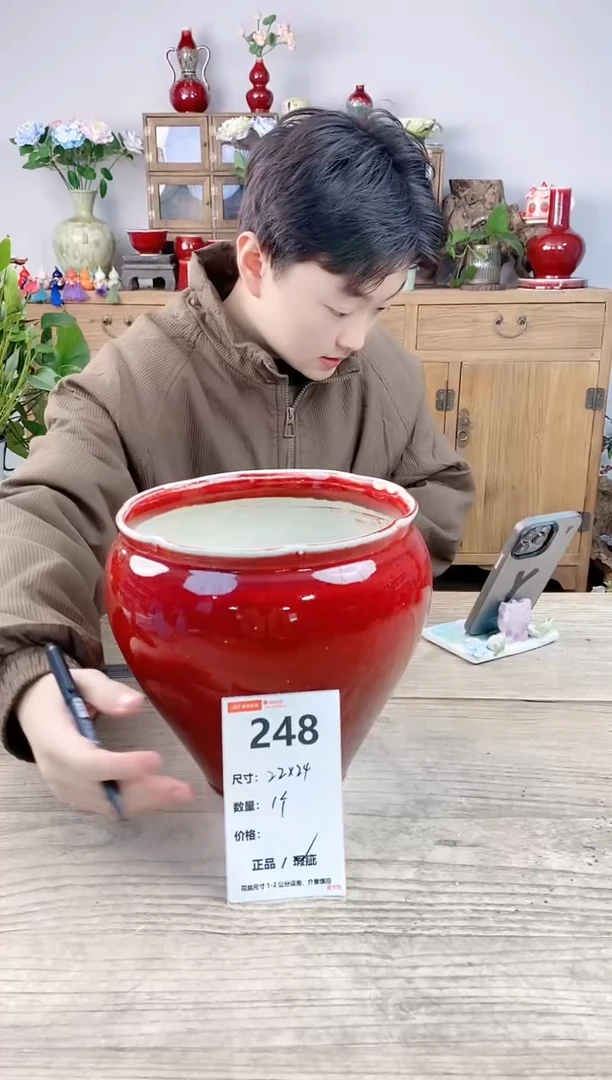 晴好园艺直播编号248