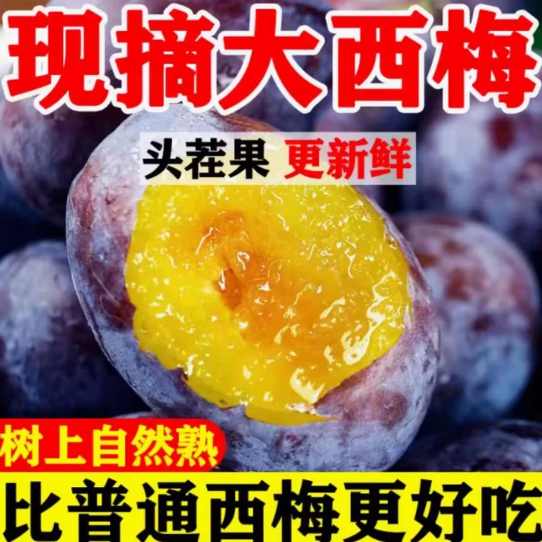 四川高山大西梅新鲜现摘现发应季水果坏果包赔