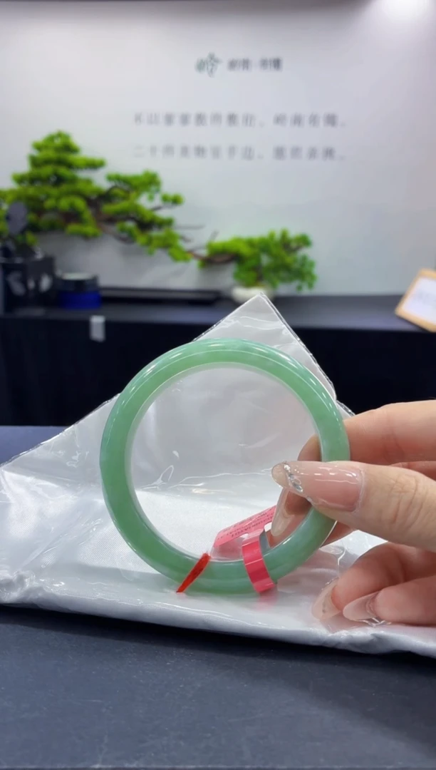 未镶嵌手镯翡翠15