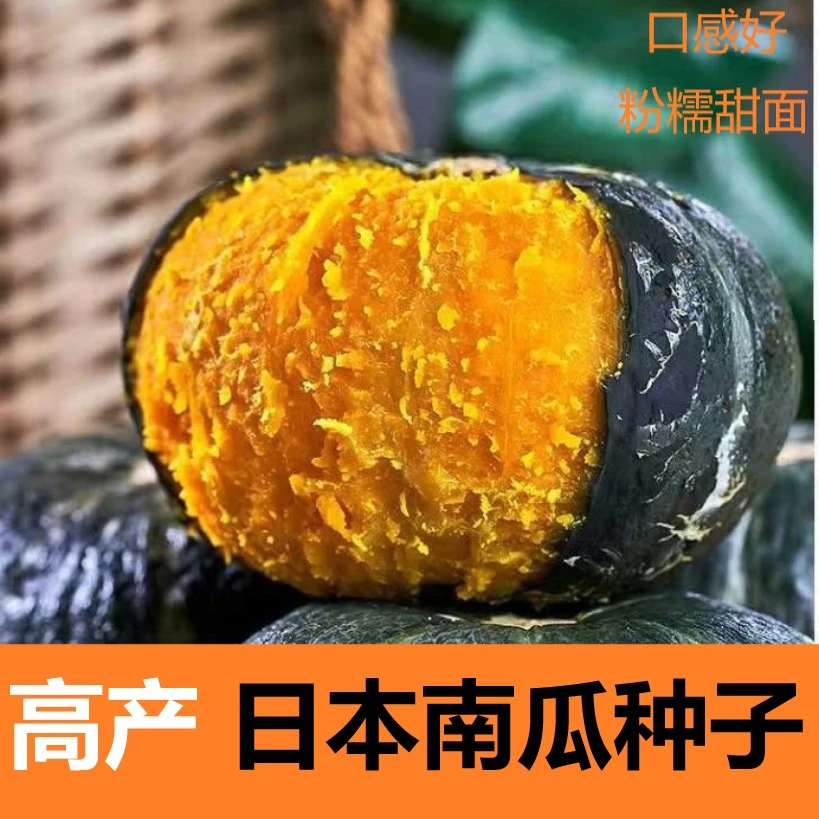 【满5包包邮】日本小南瓜种子苗秧超甜高产香甜贝贝秧苗板栗蜜本蔬