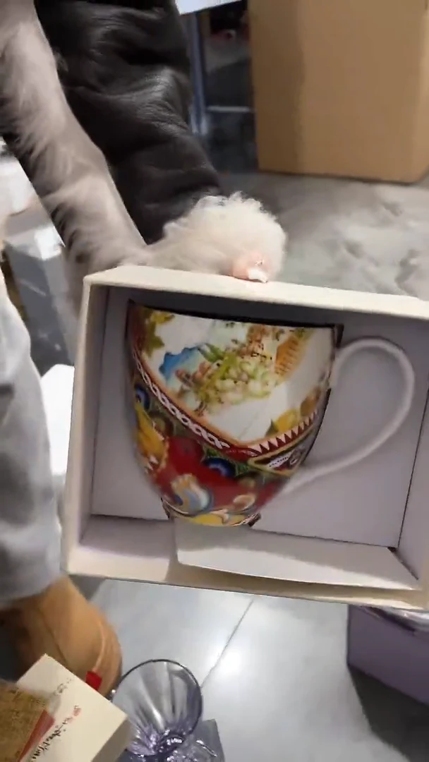 【闪购商品】瓷片豆包儿推荐饰品摆件