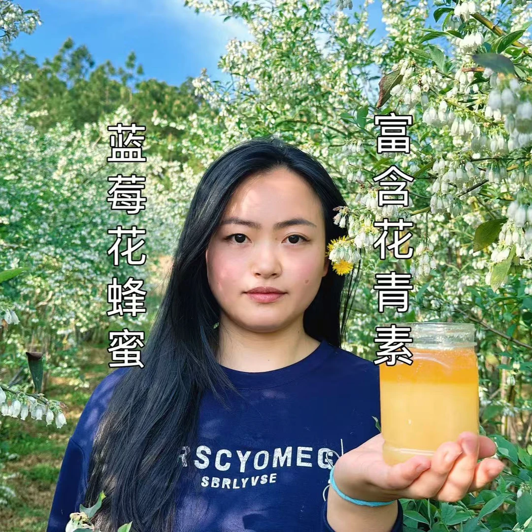 云南高山纯天然正宗蓝莓花土蜂蜜（支持试吃）