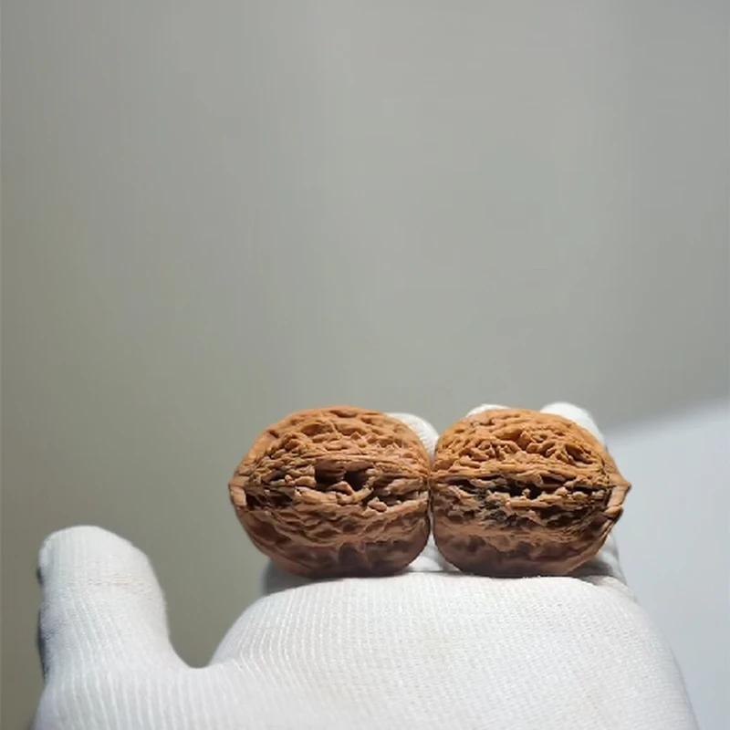 粗筋·虎头经典老品种 皮质骨质优秀 整体的纹路配对非常漂亮