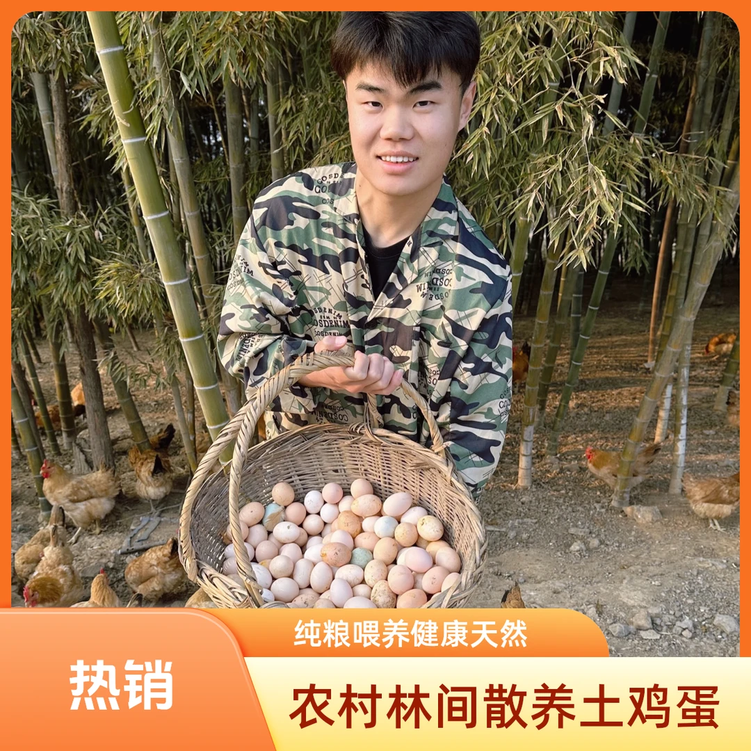 顺丰包邮｜农村林间散养天然新鲜土鸡蛋40-60枚｜纯粮喂养