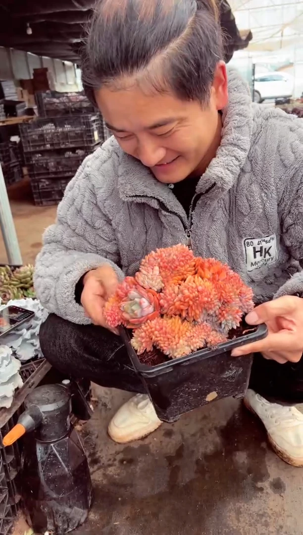 ?精控橙梦露缀化