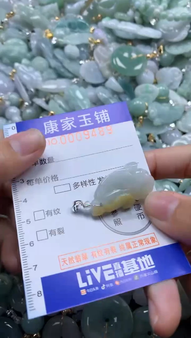 颈饰未镶嵌翡翠9489
